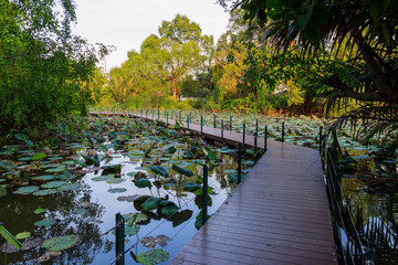wood bridge © chokmoso