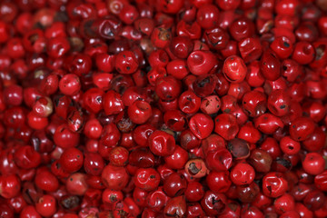 Peppercorn