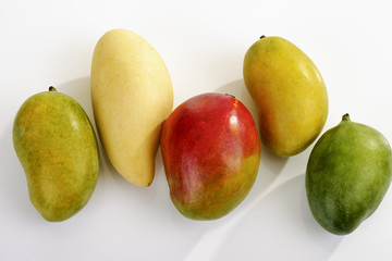Mangosorten, Mango (Mangifera indica) 
