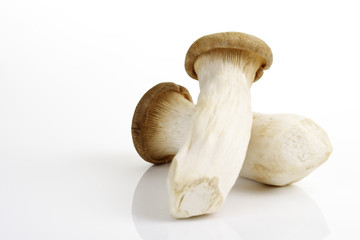 Kräutersaitling aus China