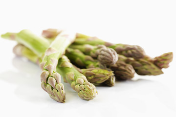 Gemüsespargel, grüner Spargel  (Asparagus officinalis)