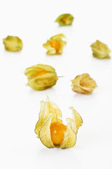 Kapstachelbeeren (Physalis peruviana)
