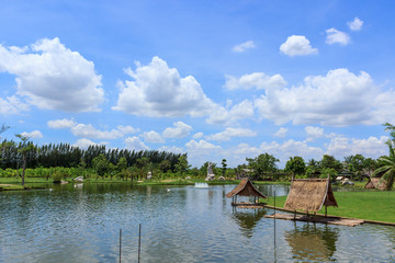 Obraz premium The beautiful nature park with countryside style