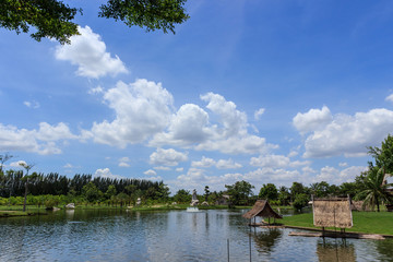 The beautiful nature park with countryside style