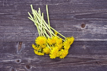 dandelion flowers on old wooden background