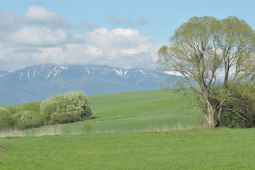 Mountains, views of the Western Tatras Slovakia.