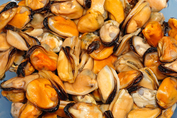 Mussels