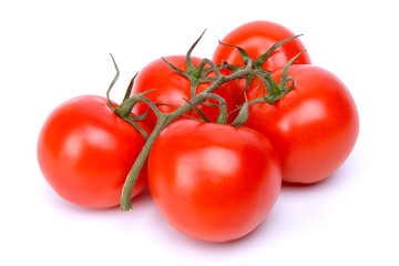 branch of tomatoes