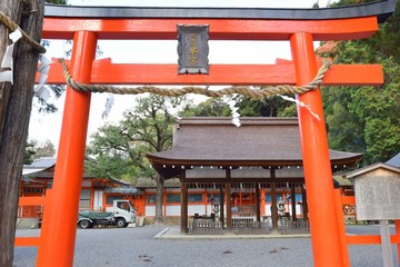 Fototapeta na wymiar 京都　吉田神社