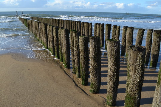 Golfbrekers in de Westerschelde