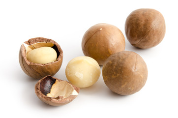 Macadamia
