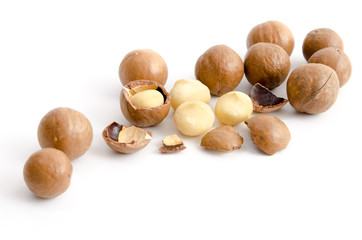 Macadamia