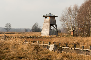 Turm im Moor