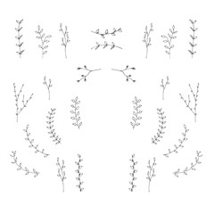 Hand-drawn branches graphic design elements set.