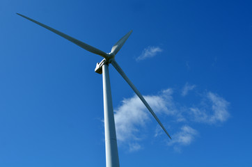 Te Apiti Wind Farm in Palmerston North, New Zealand