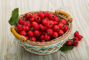 Hawthorn