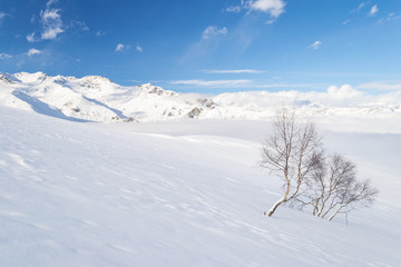 Candid alpine environment