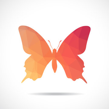 Polygonal illustration of butterfly