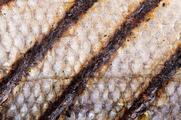 grilled fish scales