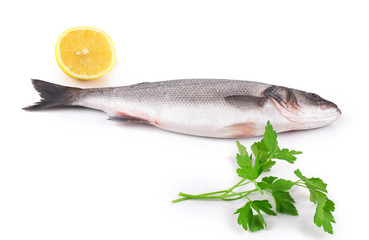 Fresh seabass