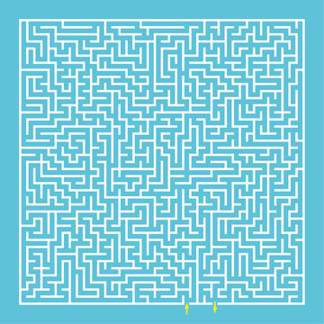 Maze, labyrinth.