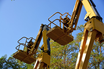 elevadores amarillos para la poda de los arboles
