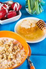 Healthy breakfast in vibrant colors overhead view