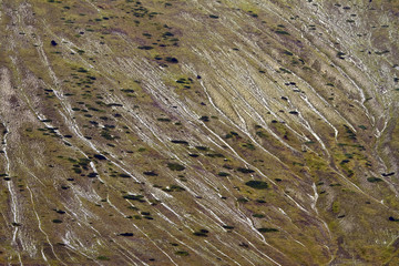 Castelluccio di Norcia, Monti Sibillini