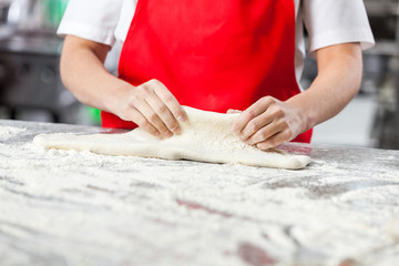 Obraz na płótnie Canvas Chef Kneading Dough In Commercial Kitchen