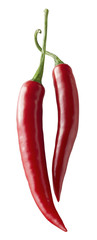Red hot chili peppers vertical isolated on white