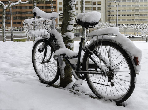 Bicicleta nevada.
