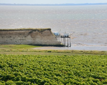 BARZAN plage 17 charente