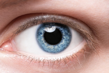 Obraz premium Close up blue eye
