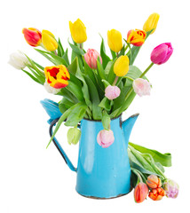 bouquet of multicolored   tulip flowers in blue pot