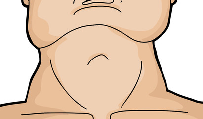 Muscular Human Neck