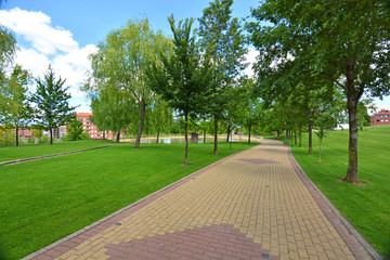 camino de adoquines en un parque