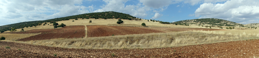 Obraz premium Plowed land