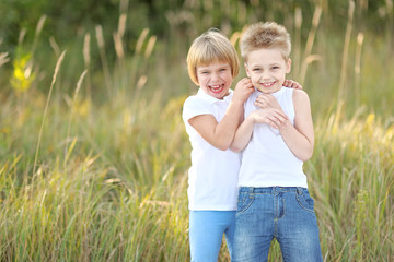 Portrait of a boy and girl on the meadow in summer