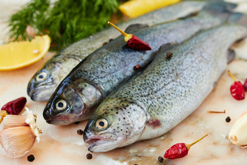 Fresh raw fish trout and spices