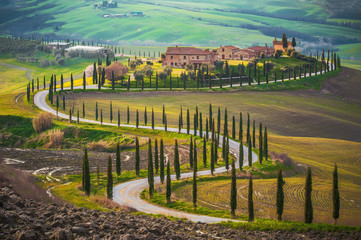 Sunny fields in Tuscany, Italy - obrazy, fototapety, plakaty