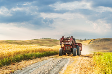 Tractor with a trailer on the fields in Tuscany, Italy - 74792673