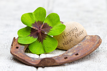 Gl&uuml;cksbringer und Stein auf Holz, Happy New Year