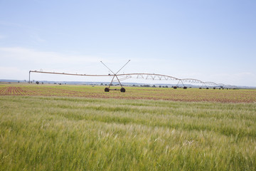 green field irrigate wheels