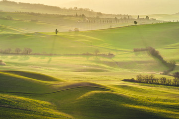 Tuscan green mornings and sunrises, Italy