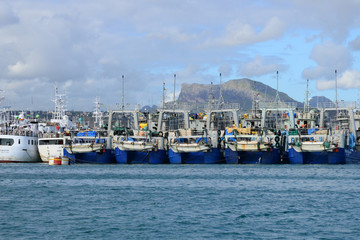 Fototapeta na wymiar Africa, Port Louis city in Mauritius Island