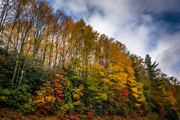 Fototapeta premium Autumn color along the Blue Ridge Parkway, near Blowing Rock, No