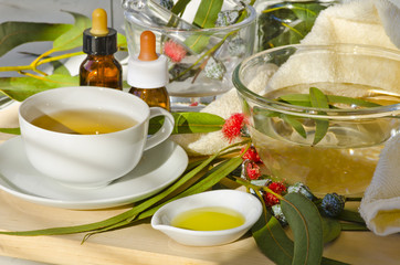 Derived  products from eucalyptus.