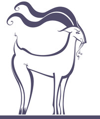 Goat. Beautiful animal.