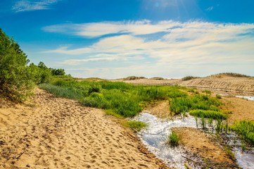 Sand dunes near Baltic sea in Saulkrasti, Latvia