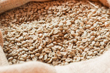 Raw coffee beans